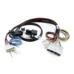 Hybrid Racing K-Series Swap Conversion Wiring Harness (88-91 Civic/CRX)